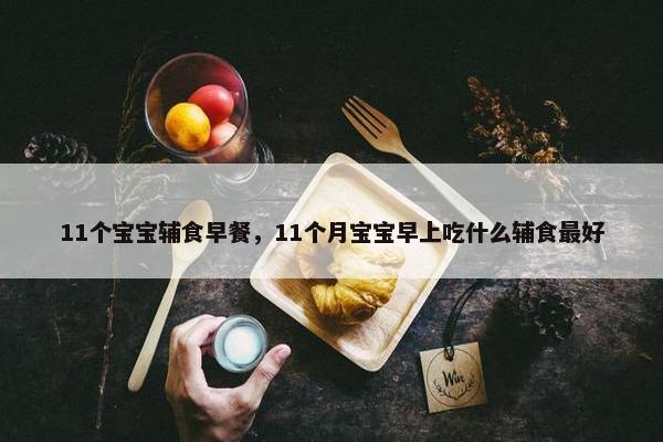 11个宝宝辅食早餐，11个月宝宝早上吃什么辅食最好