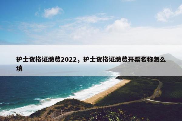 护士资格证缴费2022，护士资格证缴费开票名称怎么填