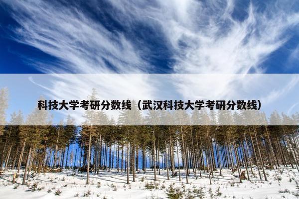 科技大学考研分数线（武汉科技大学考研分数线）