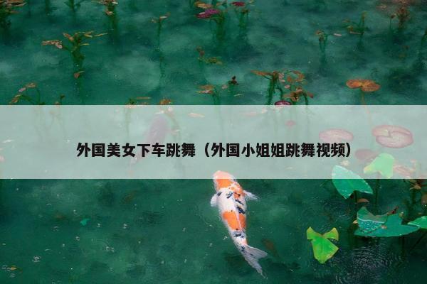 外国美女下车跳舞（外国小姐姐跳舞视频）