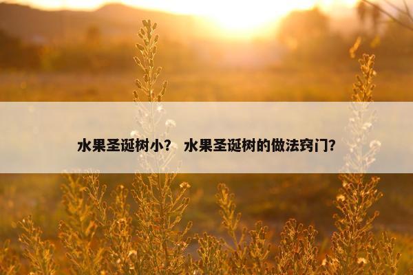 水果圣诞树小？ 水果圣诞树的做法窍门？