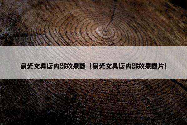 晨光文具店内部效果图（晨光文具店内部效果图片）