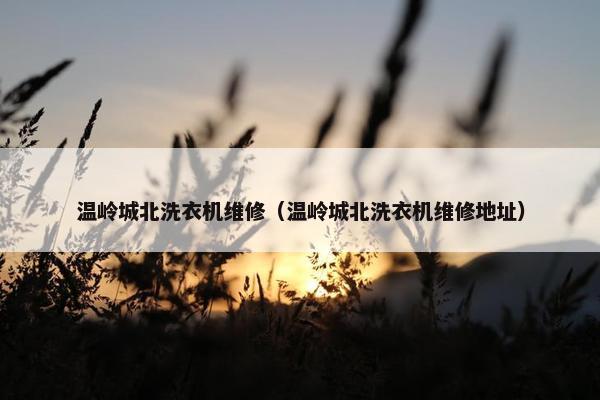 温岭城北洗衣机维修（温岭城北洗衣机维修地址）