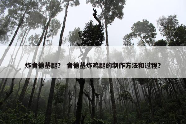 炸肯德基腿？ 肯德基炸鸡腿的制作方法和过程？