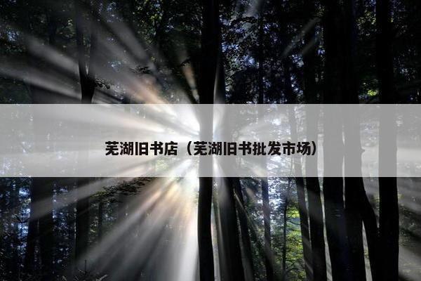 芜湖旧书店（芜湖旧书批发市场）