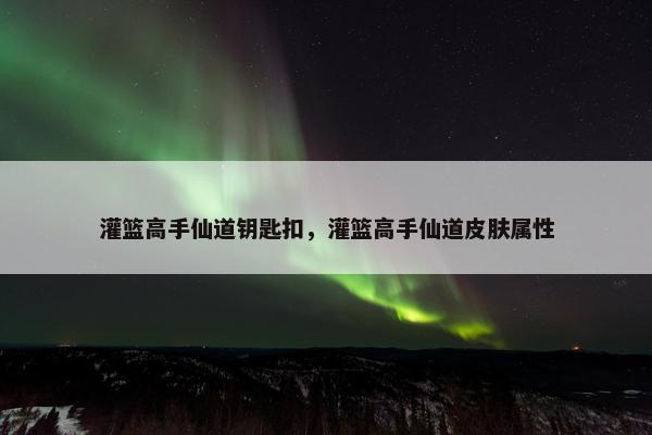 灌篮高手仙道钥匙扣，灌篮高手仙道皮肤属性