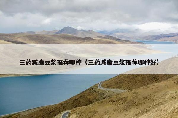 三药减脂豆浆推荐哪种（三药减脂豆浆推荐哪种好）