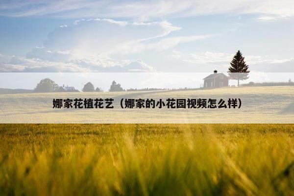 娜家花植花艺（娜家的小花园视频怎么样）