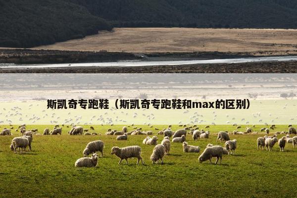 斯凯奇专跑鞋（斯凯奇专跑鞋和max的区别）
