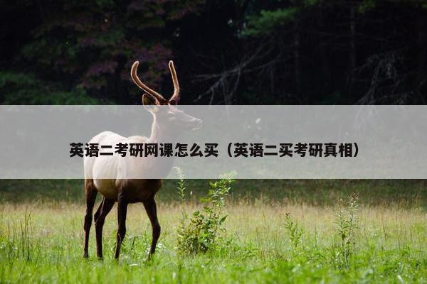 英语二考研网课怎么买（英语二买考研真相）