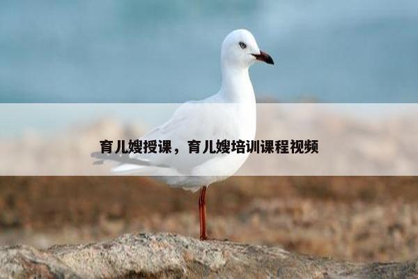 育儿嫂授课，育儿嫂培训课程视频