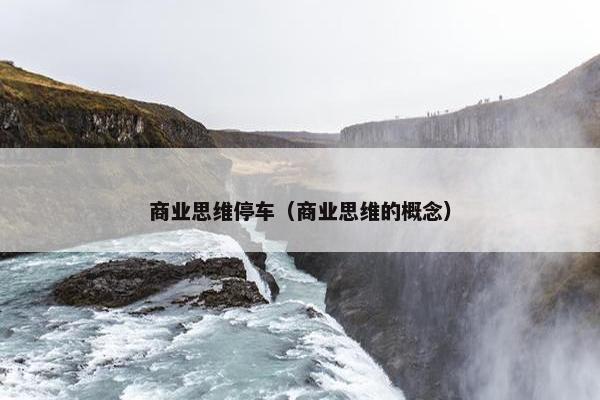 商业思维停车（商业思维的概念）