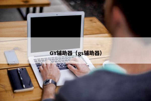 GY辅助器（gs辅助器）