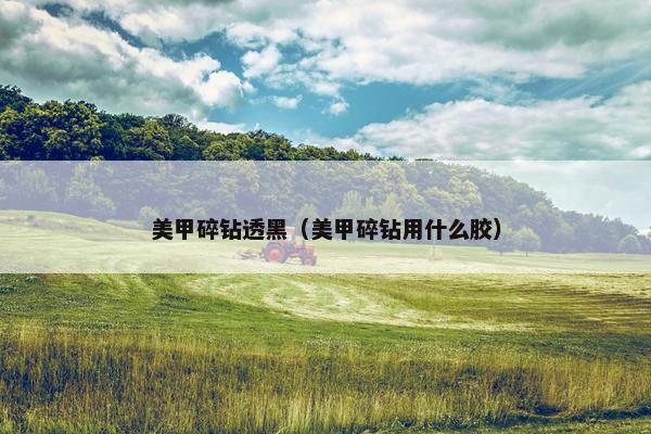美甲碎钻透黑（美甲碎钻用什么胶）
