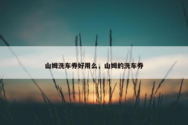 山姆洗车券好用么，山姆的洗车券