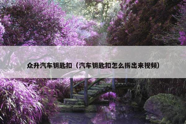 众升汽车钥匙扣（汽车钥匙扣怎么拆出来视频）