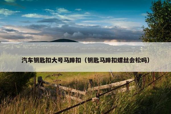 汽车钥匙扣大号马蹄扣（钥匙马蹄扣螺丝会松吗）