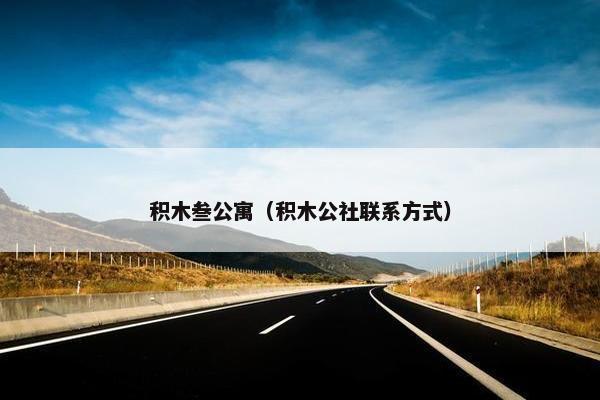 积木叁公寓（积木公社联系方式）