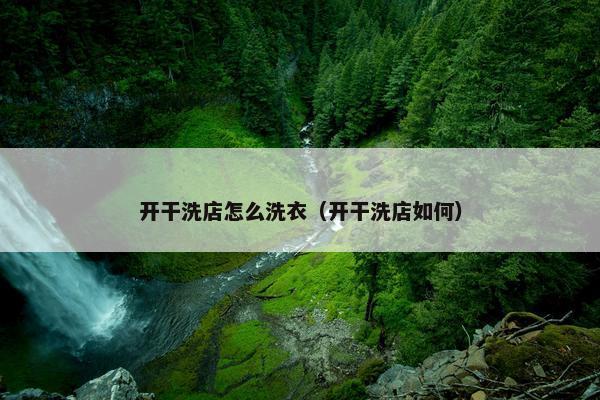 开干洗店怎么洗衣（开干洗店如何）