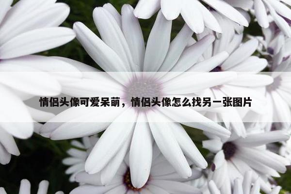 情侣头像可爱呆萌，情侣头像怎么找另一张图片