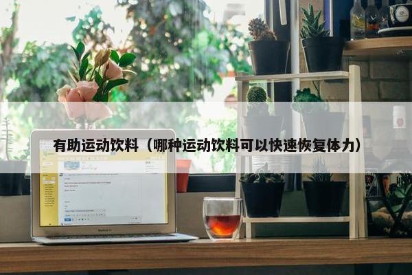 有助运动饮料（哪种运动饮料可以快速恢复体力）