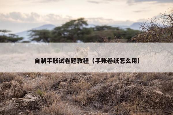 自制手账试卷题教程（手账卷纸怎么用）