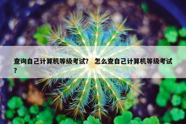 查询自己计算机等级考试？ 怎么查自己计算机等级考试？