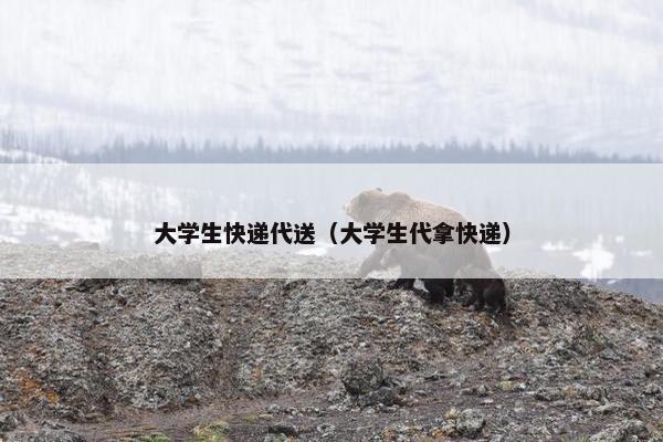 大学生快递代送（大学生代拿快递）