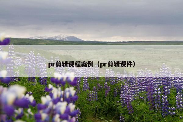 pr剪辑课程案例（pr剪辑课件）