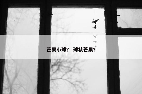 芒果小球？ 球状芒果？