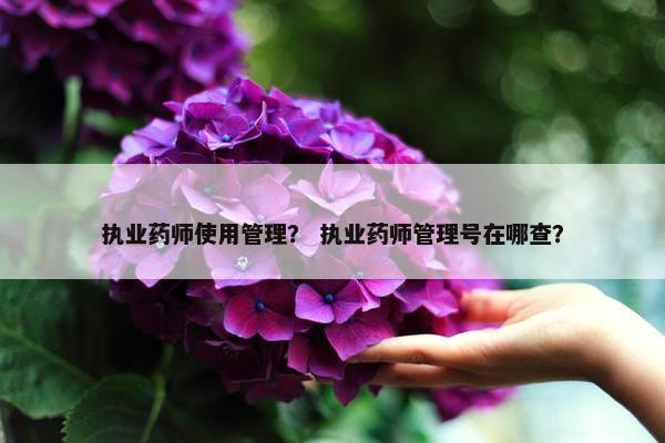 执业药师使用管理？ 执业药师管理号在哪查？