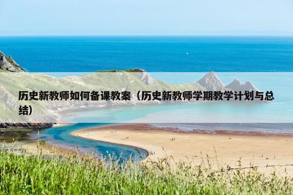 历史新教师如何备课教案（历史新教师学期教学计划与总结）