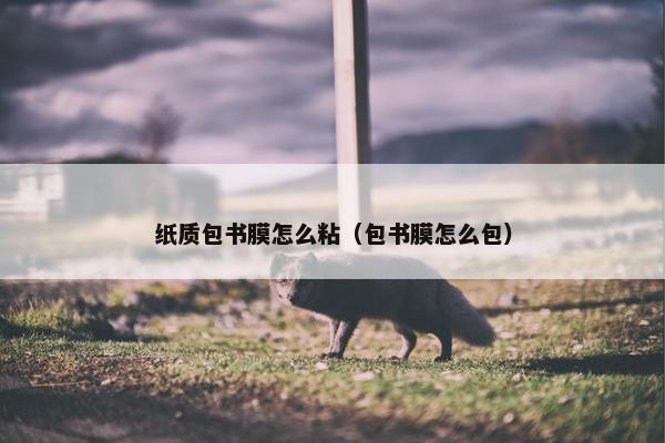 纸质包书膜怎么粘（包书膜怎么包）