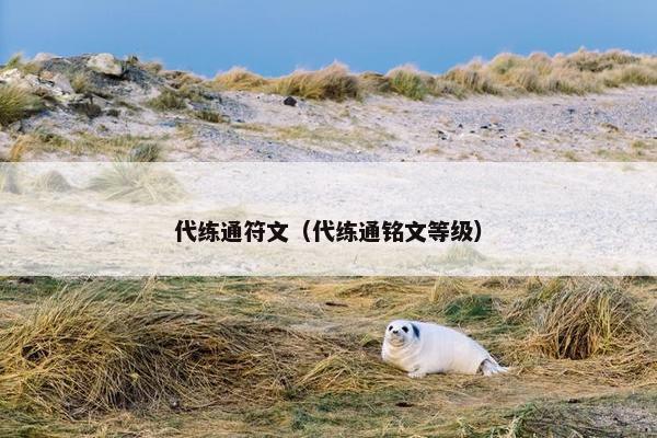 代练通符文（代练通铭文等级）