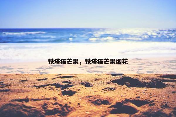 铁塔猫芒果，铁塔猫芒果烟花
