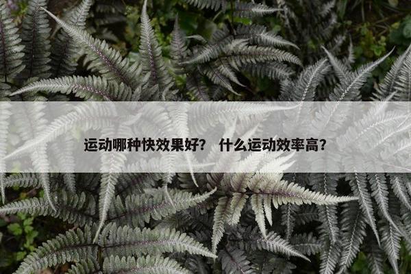 运动哪种快效果好？ 什么运动效率高？