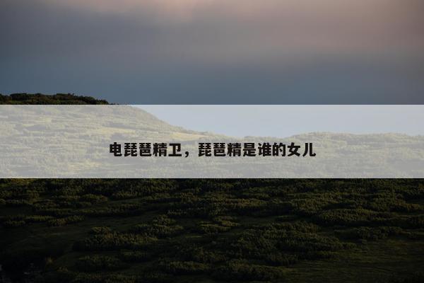 电琵琶精卫，琵琶精是谁的女儿