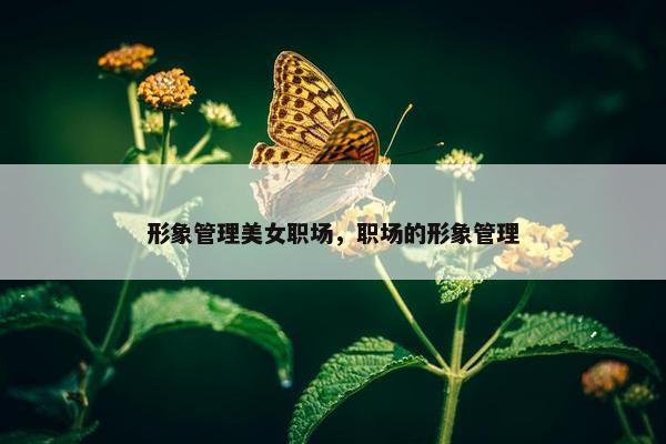 形象管理美女职场，职场的形象管理