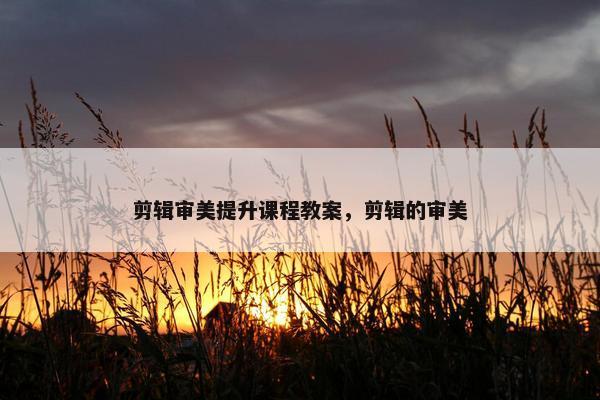 剪辑审美提升课程教案，剪辑的审美