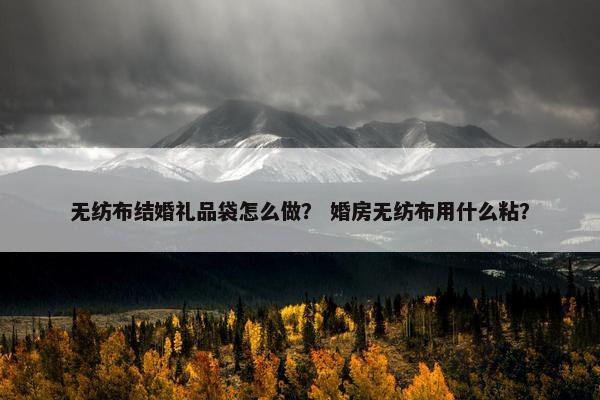 无纺布结婚礼品袋怎么做？ 婚房无纺布用什么粘？