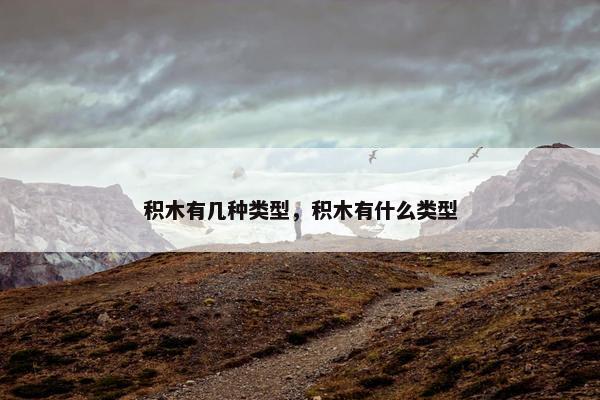积木有几种类型，积木有什么类型