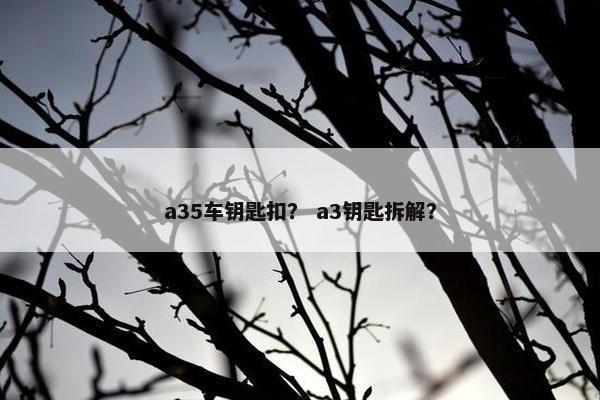 a35车钥匙扣？ a3钥匙拆解？