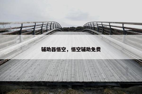 辅助器悟空，悟空辅助免费