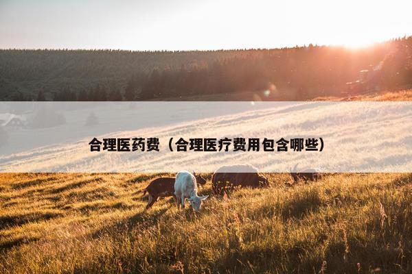 合理医药费（合理医疗费用包含哪些）