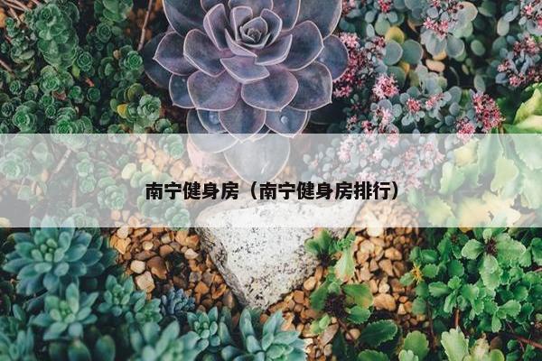 南宁健身房（南宁健身房排行）