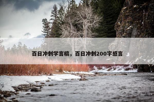 百日冲刺学言稿，百日冲刺200字感言