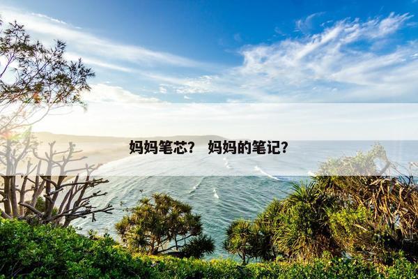 妈妈笔芯？ 妈妈的笔记？
