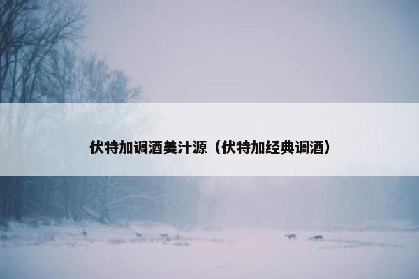 伏特加调酒美汁源（伏特加经典调酒）
