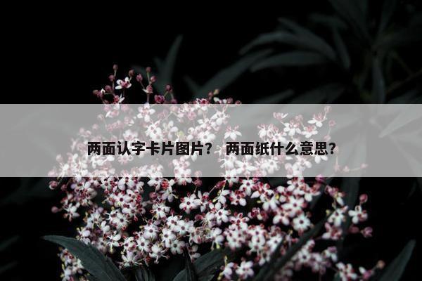 两面认字卡片图片？ 两面纸什么意思？