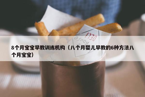 8个月宝宝早教训练机构（八个月婴儿早教的6种方法八个月宝宝）